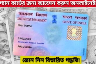 how to apply online for Permanent Account Number